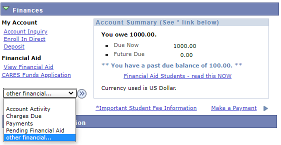 Student Center main menu in the finances sections menu highlighted