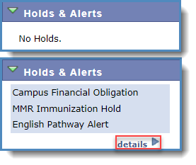 Student Center Holds box showing examples of holds and one without