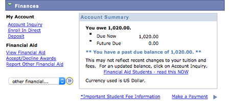 Student Center's Financial section 